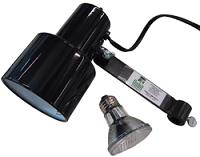 Light Sources