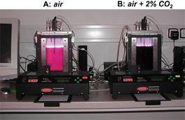 PHOTOBIOREACTOR