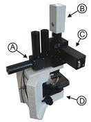 MICRO FLUORCAM