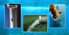 ALGAL ONLINE MONITOR