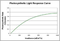 PHOTOSYNTHESIS PACKAGE