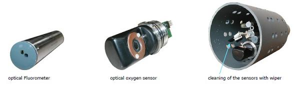 Water quality monitoring