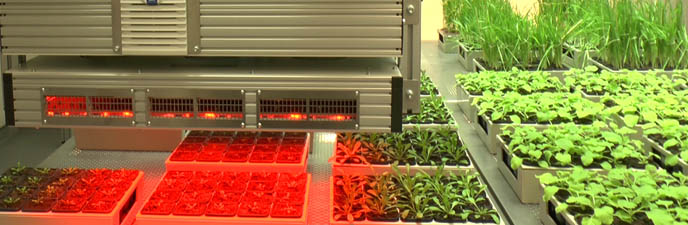 PlantScreenTM Phenotyping Systems