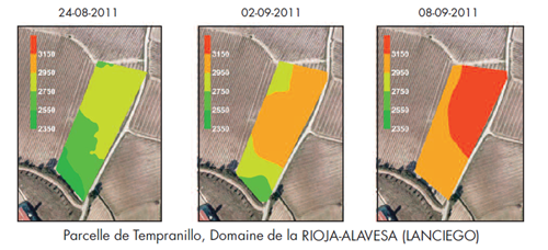 DIAGNOSTICS GRAPPE