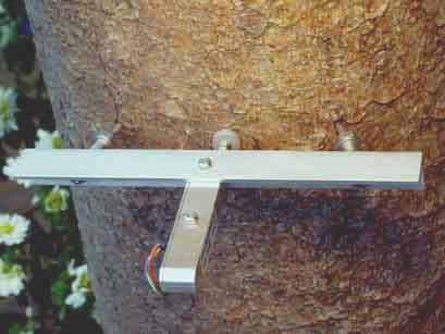 Radiusdendrometer  (DR)