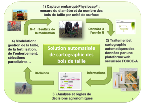 PHYSIOCAP