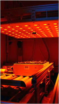PlantScreenTM Phenotyping Systems