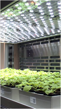 PlantScreenTM Phenotyping Systems