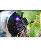 DIAGNOSTICS GRAPPE