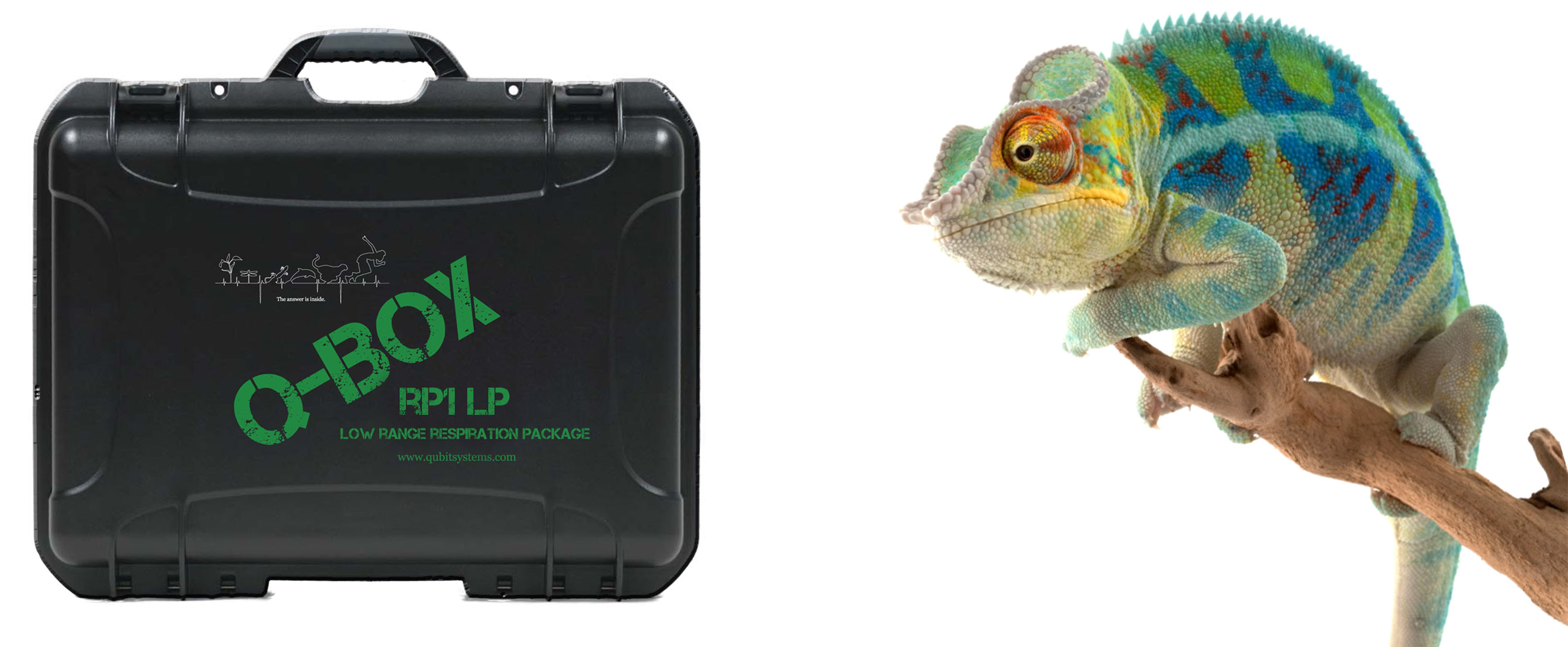 Q-Box RP1LP Low Range Respiration Package